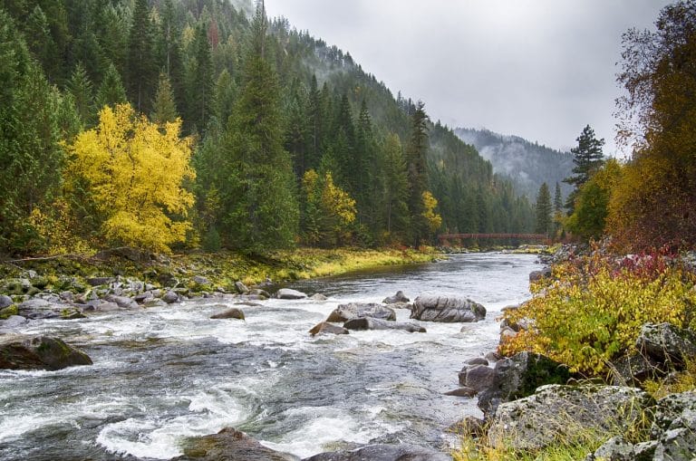 USA Reisen - Ein ruhiger Fluss, der durch die majestätische Wildnis Idahos fließt und von hoch aufragenden Bäumen und Felsvorsprüngen umgeben ist.